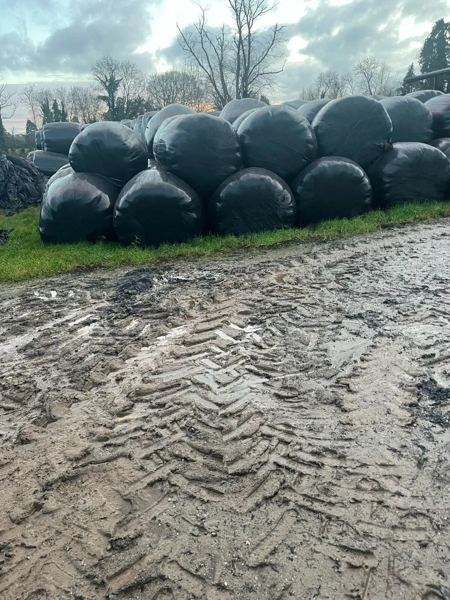 Silage Bales