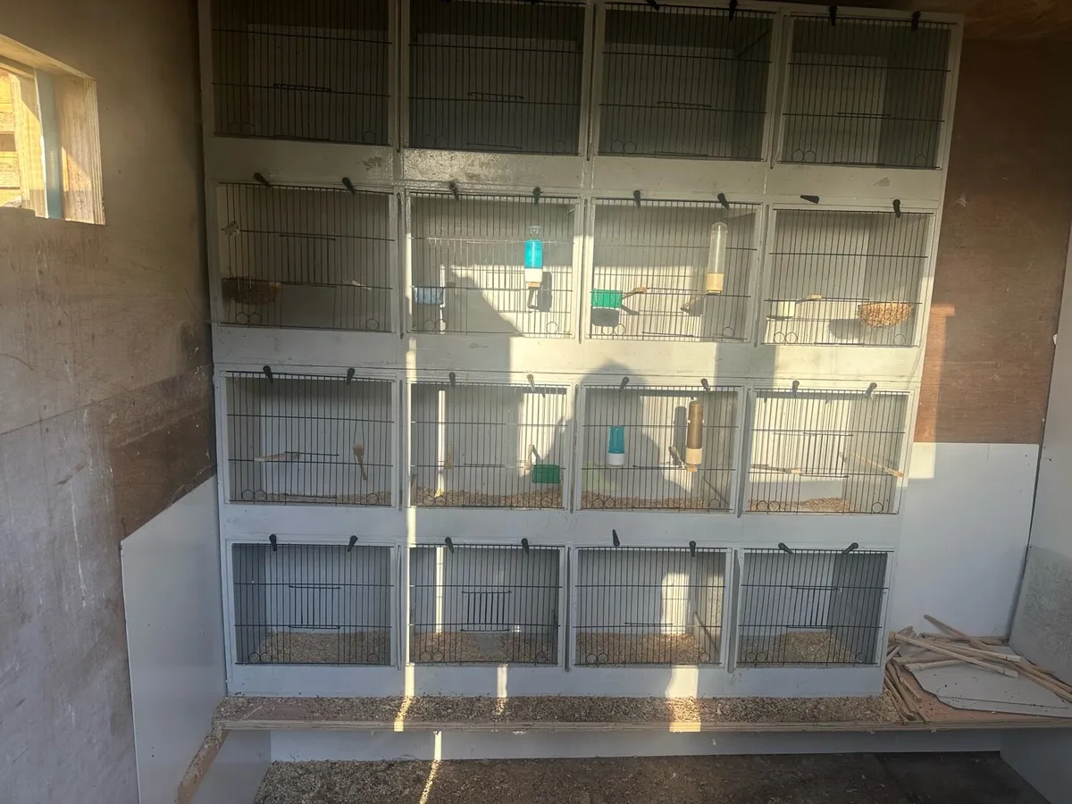 Canary breeding cages