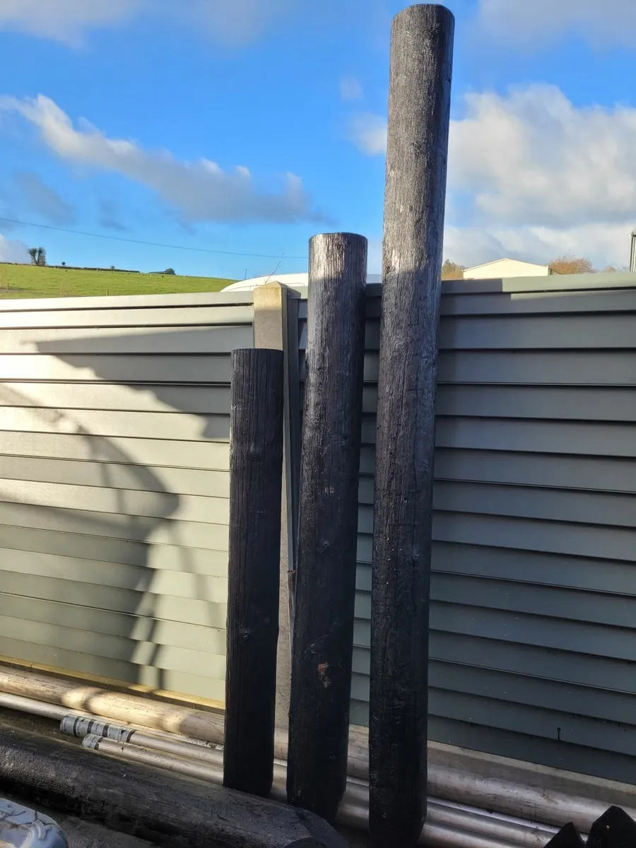 Fencing poles - Image 3