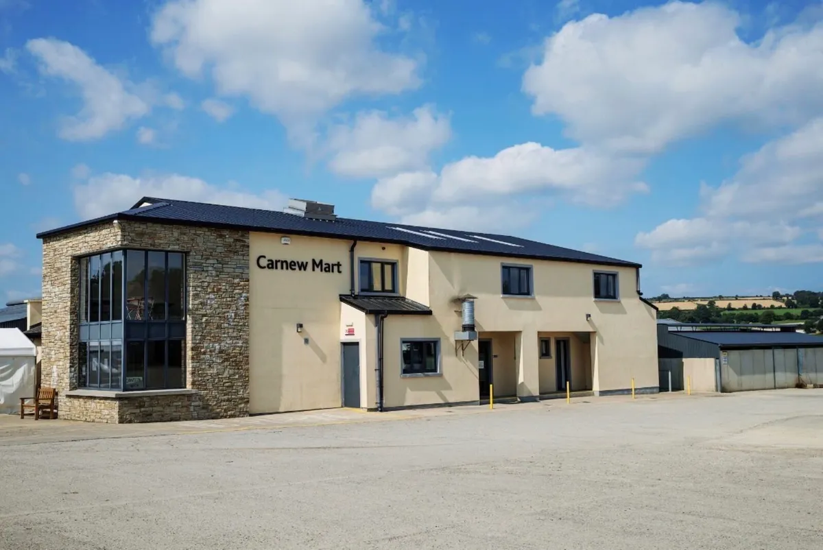 Dairy Clearance sale