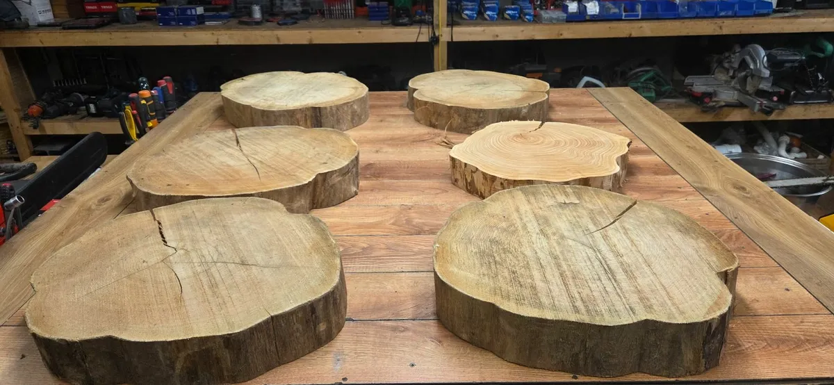 Wood slices - Image 4