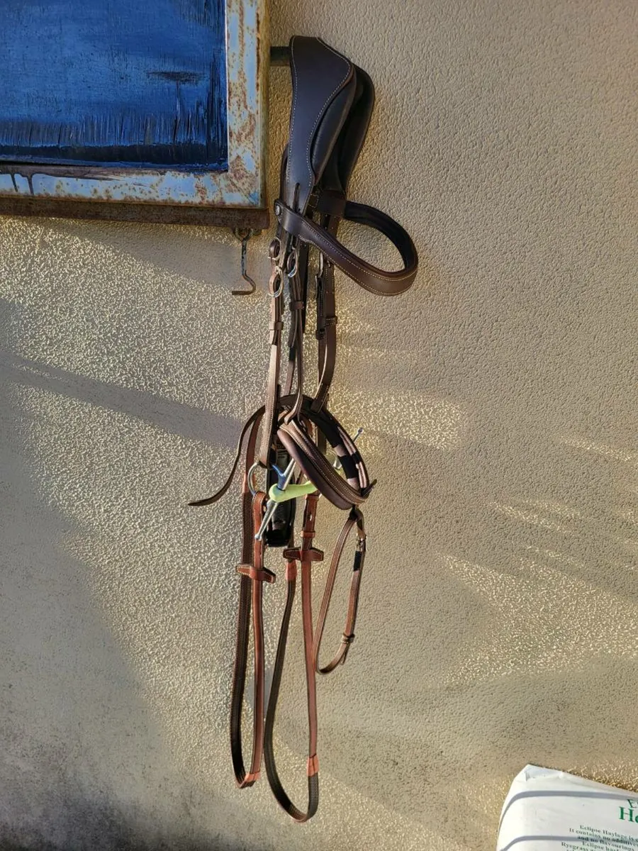 Antares Precision Anatomic Comfort Bridle - Image 1