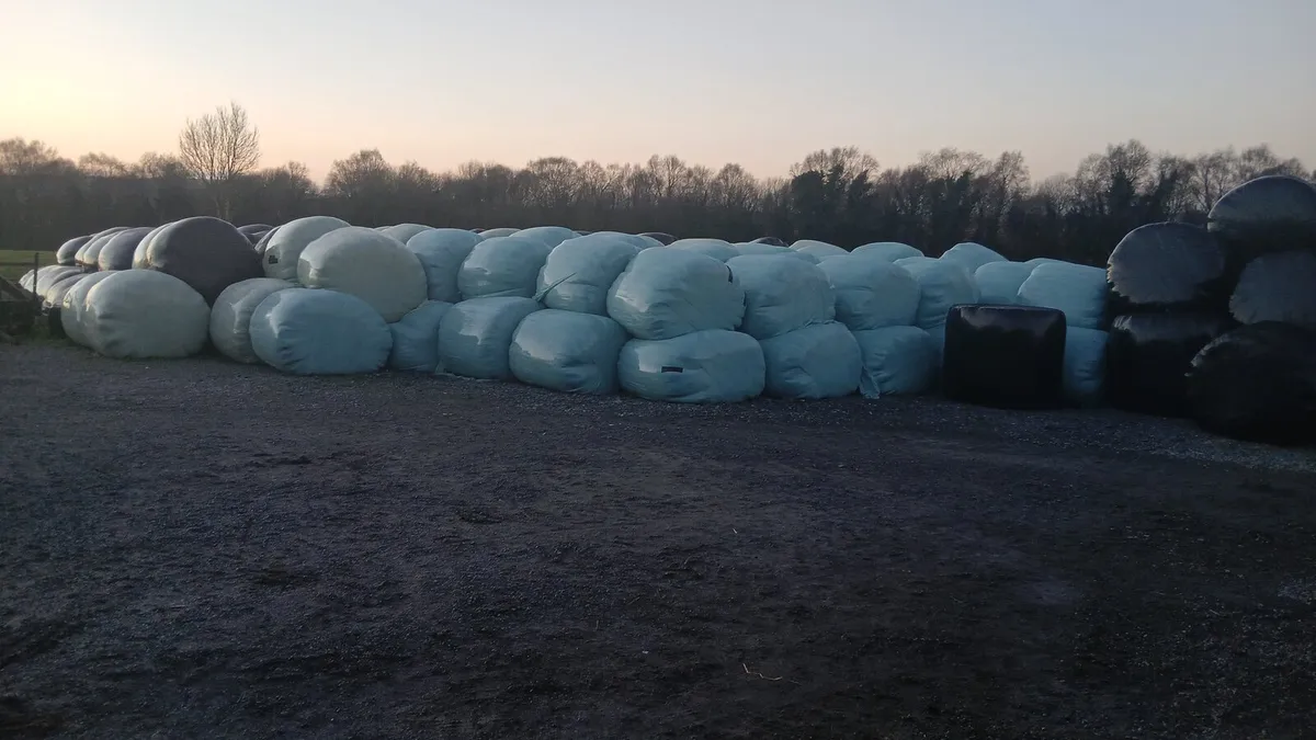 Silage - Image 2