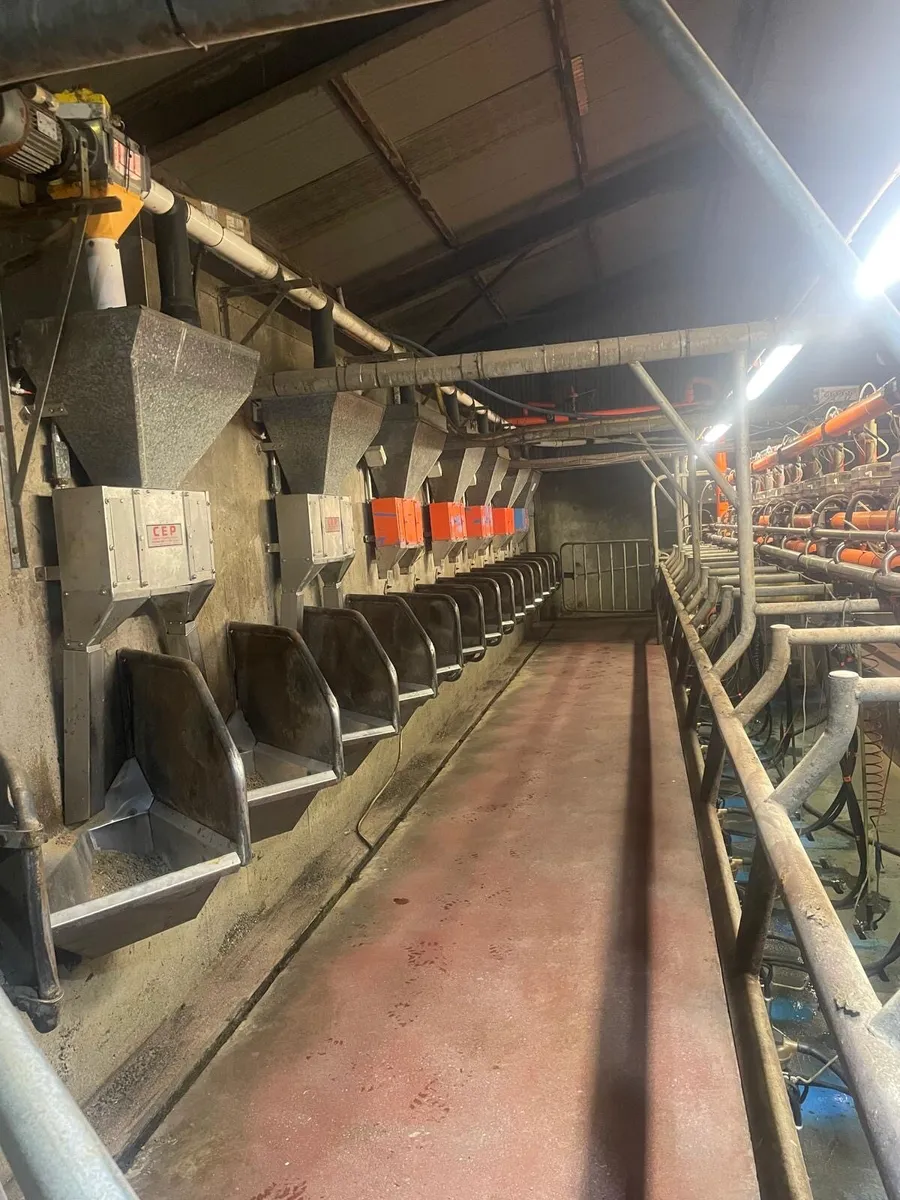 Cashman air feeders - Image 1