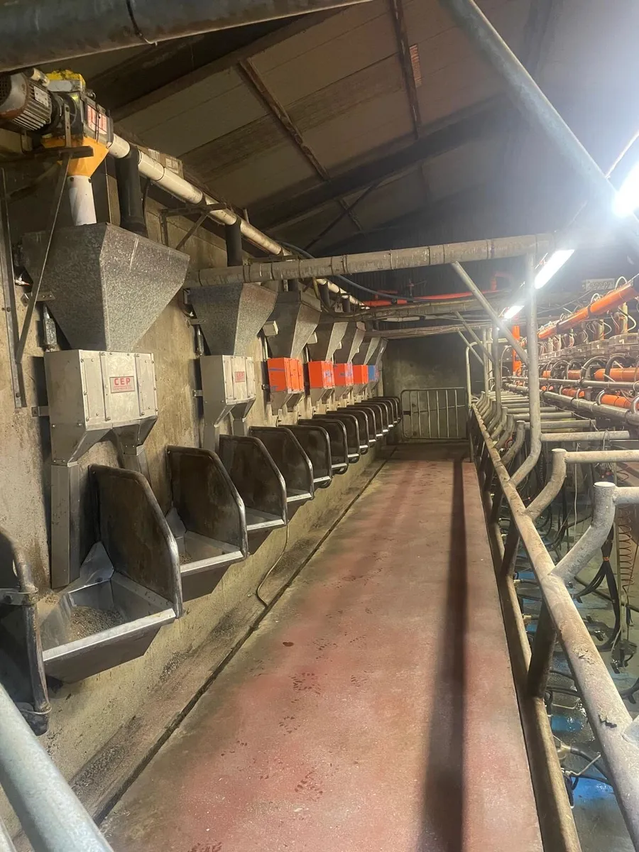 Cashman air feeders - Image 4