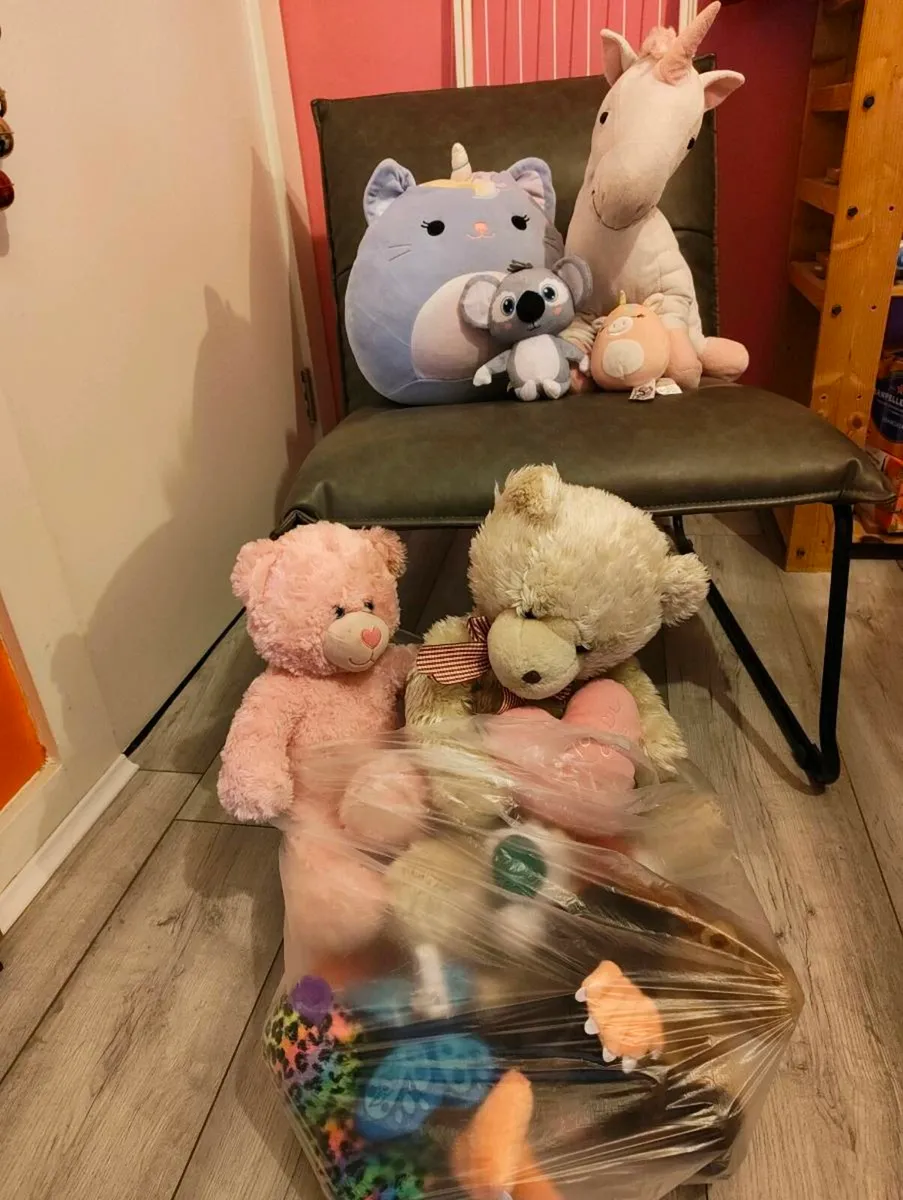 FREE - Soft Toys for kids - Image 1