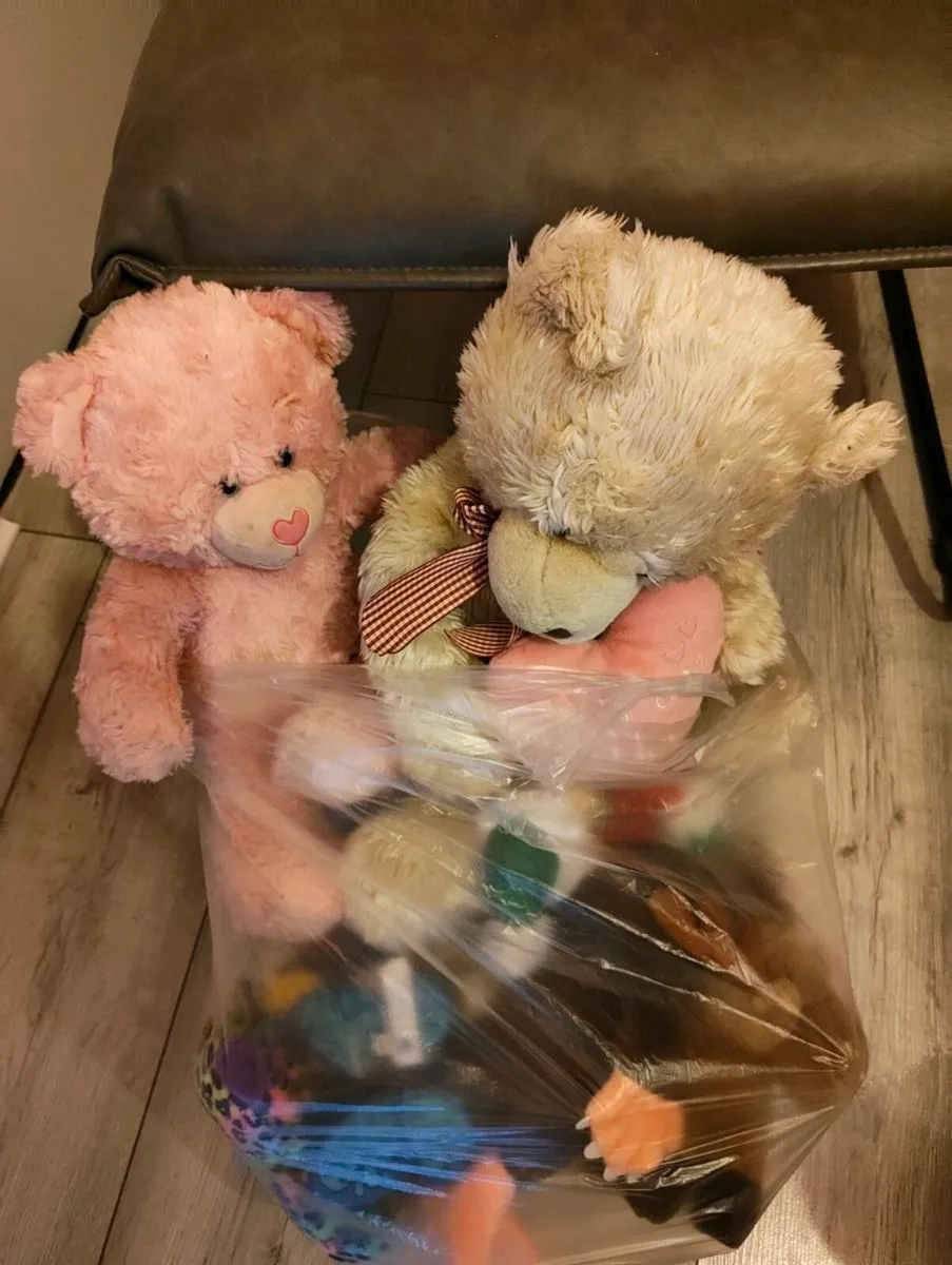 FREE - Soft Toys for kids - Image 3