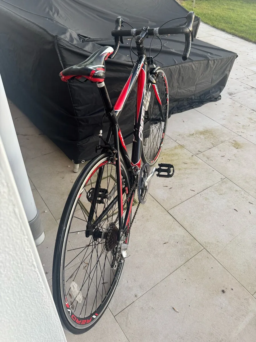 Castello Vetto Junior Road Bike - Image 2