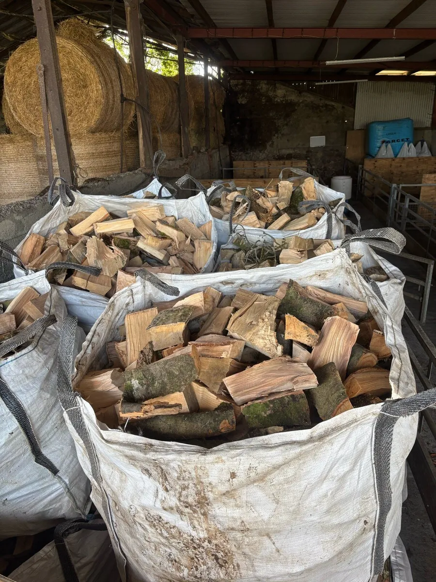 Firewood - Image 3