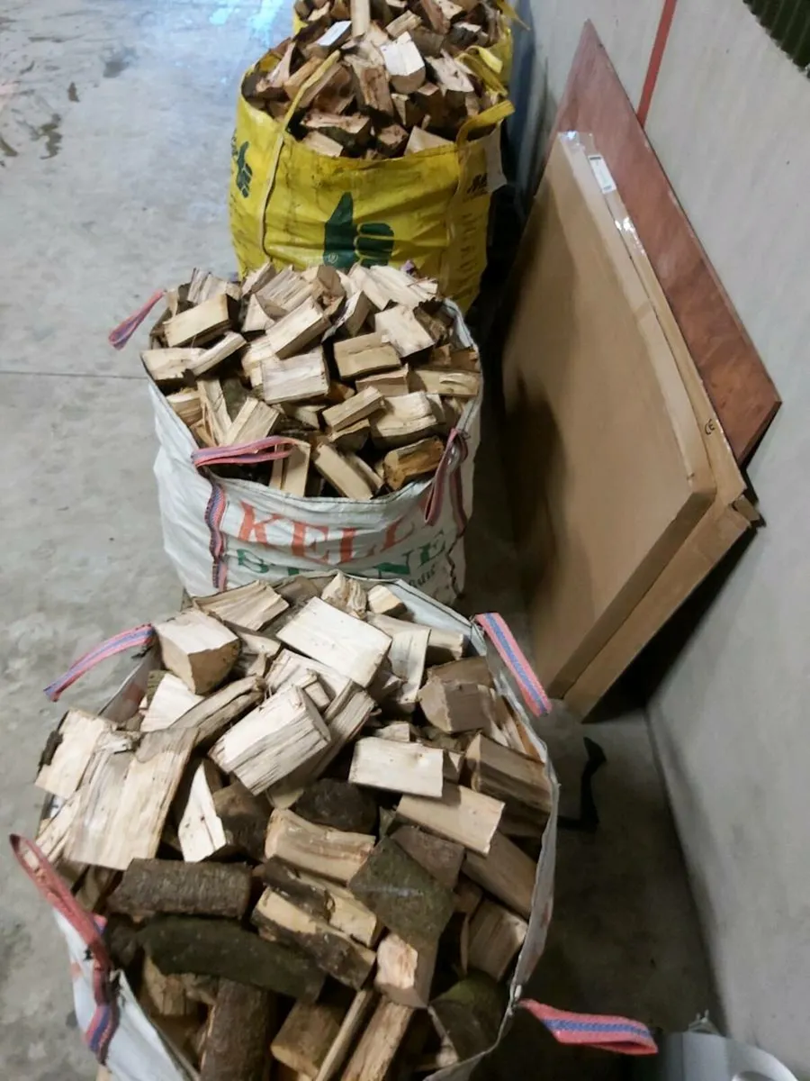 Firewood - Image 2