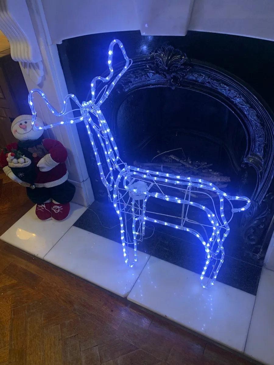 Christmas stag - Image 1