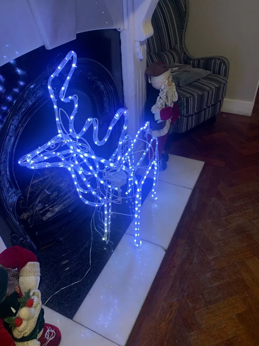 Christmas stag - Image 3