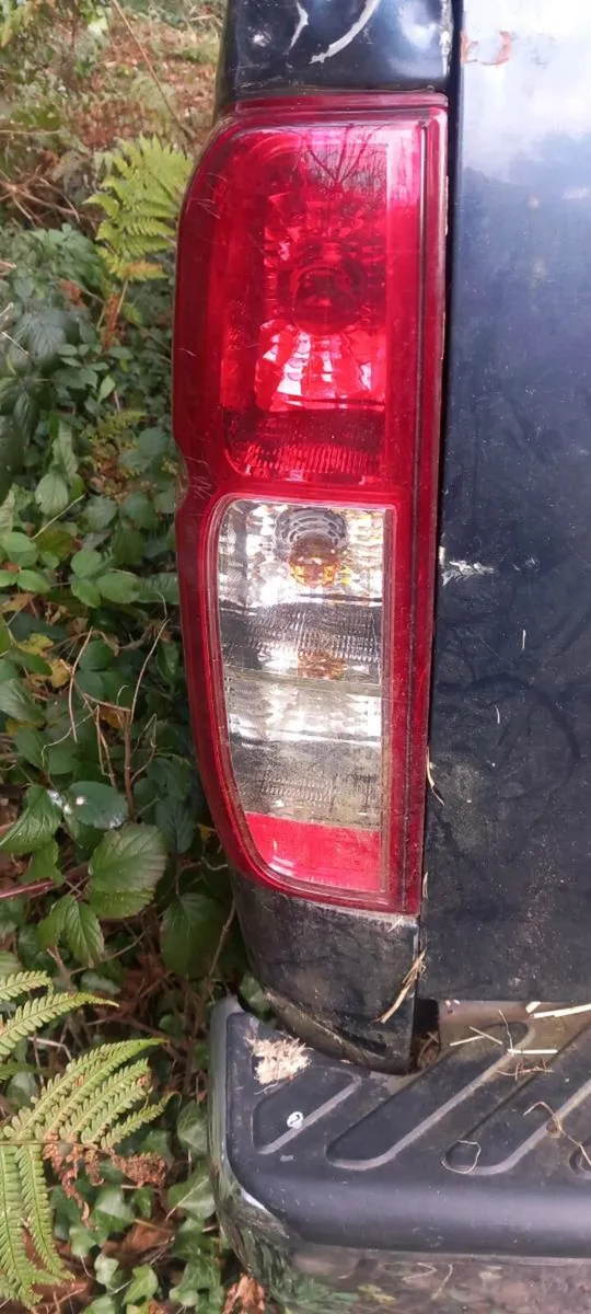 Nissan navara - Image 4