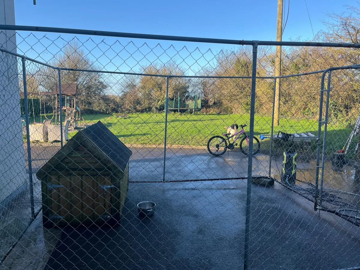 Dog Run - Image 3