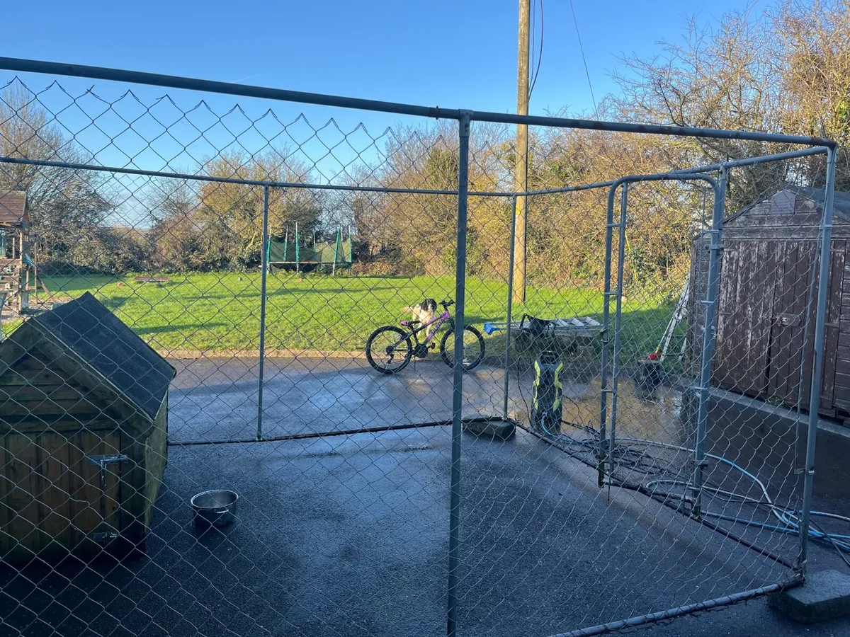 Dog Run - Image 4