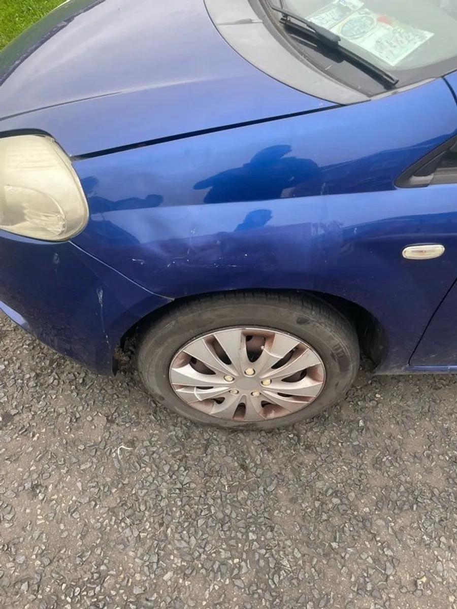 2009 Fiat Punto - Image 4