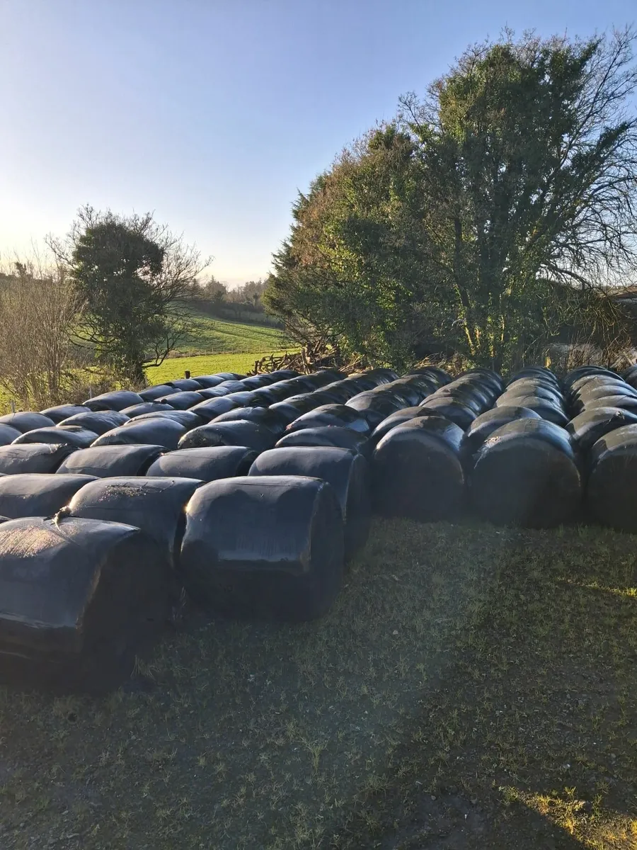 Round bales
