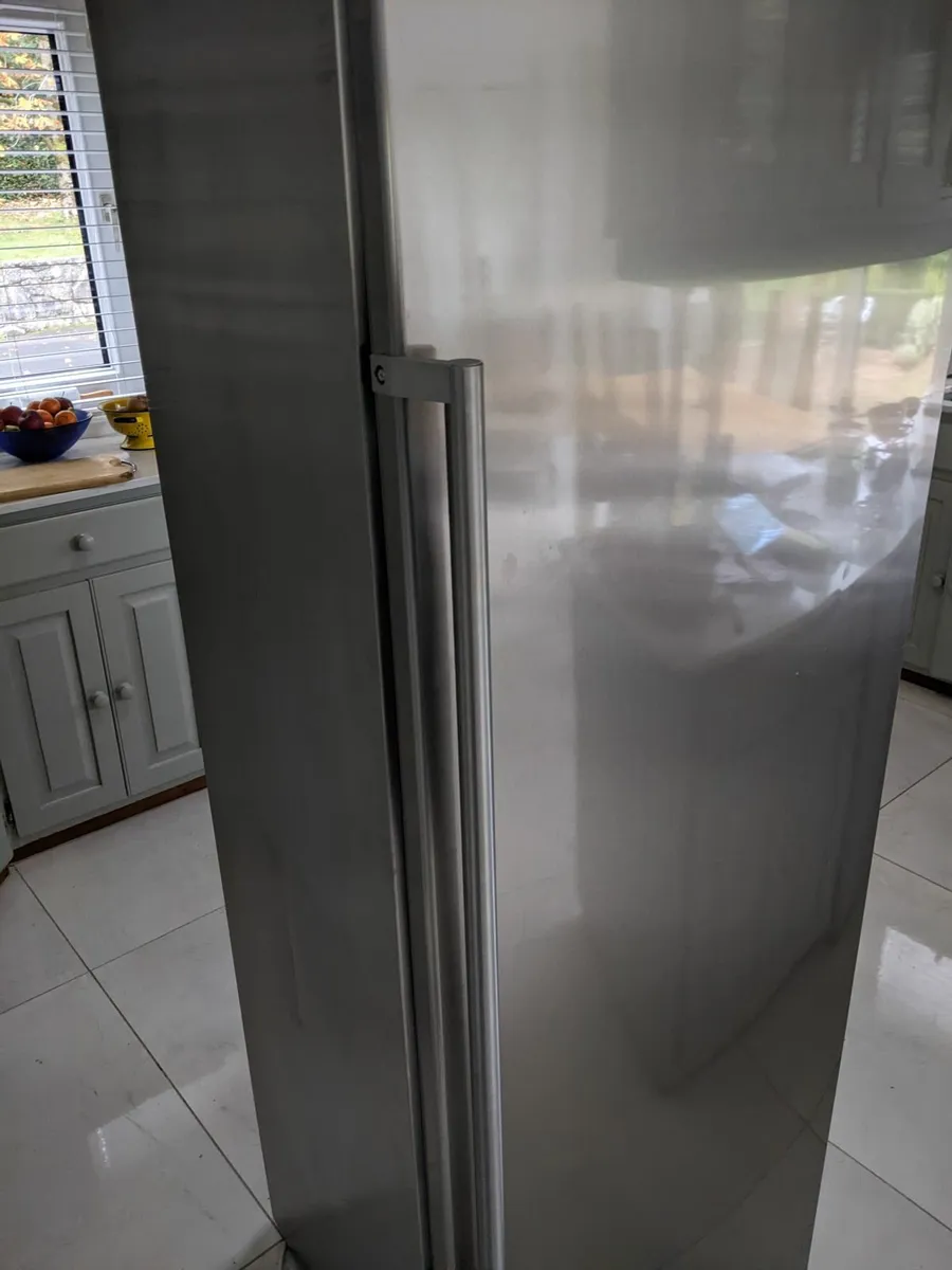 Free Standing Freezer - Image 2