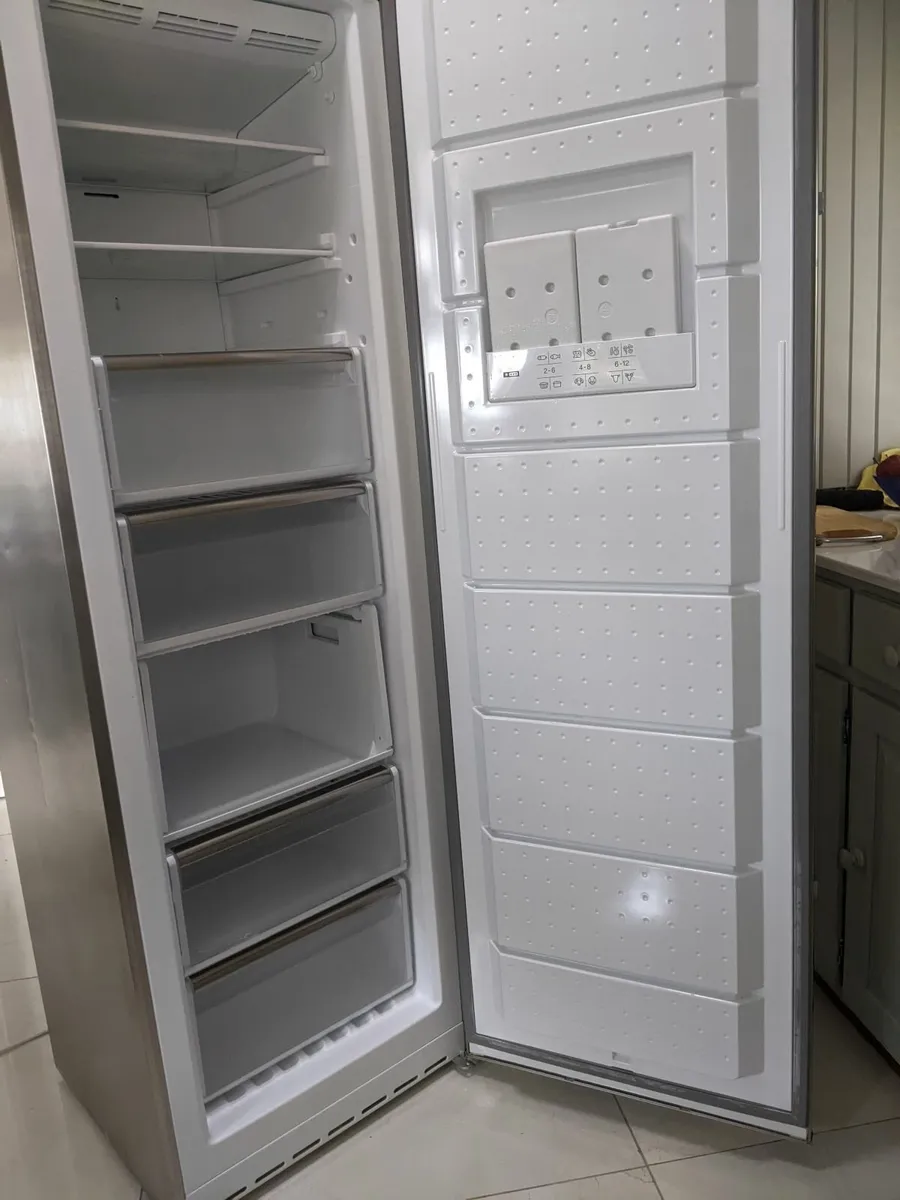 Free Standing Freezer - Image 1