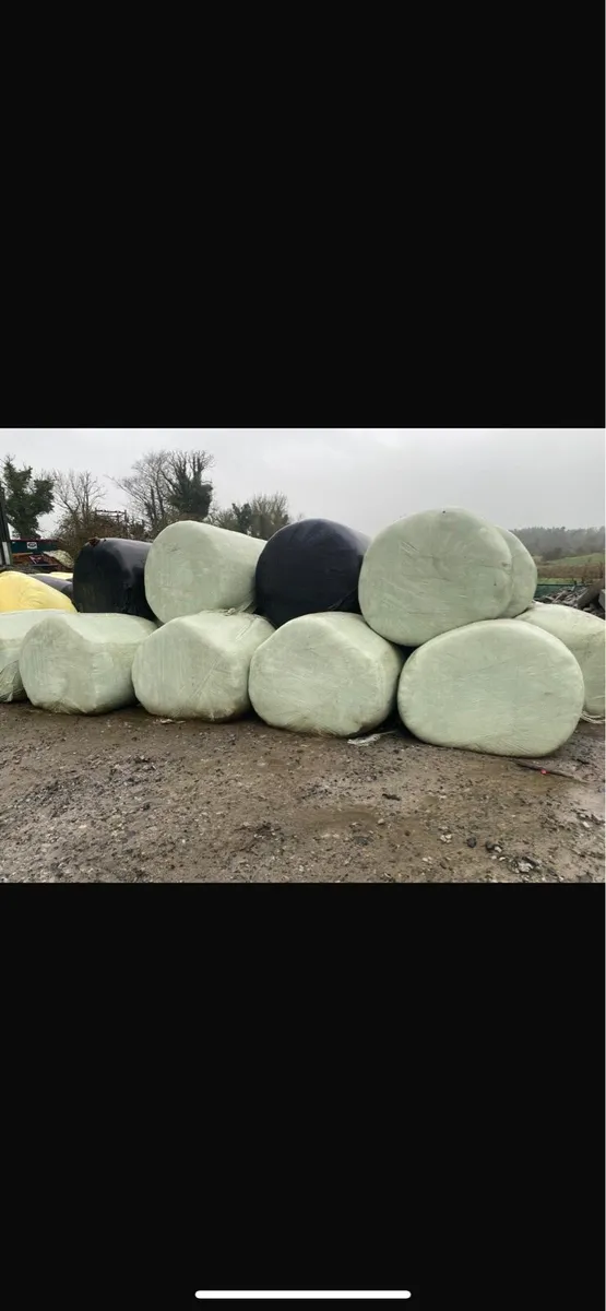 Silage Bales