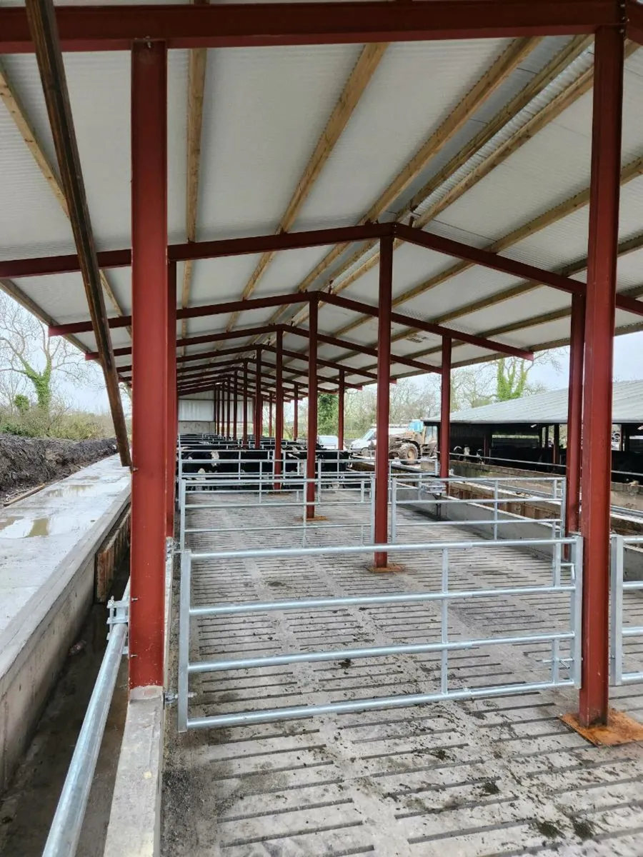 Shed services - Image 3