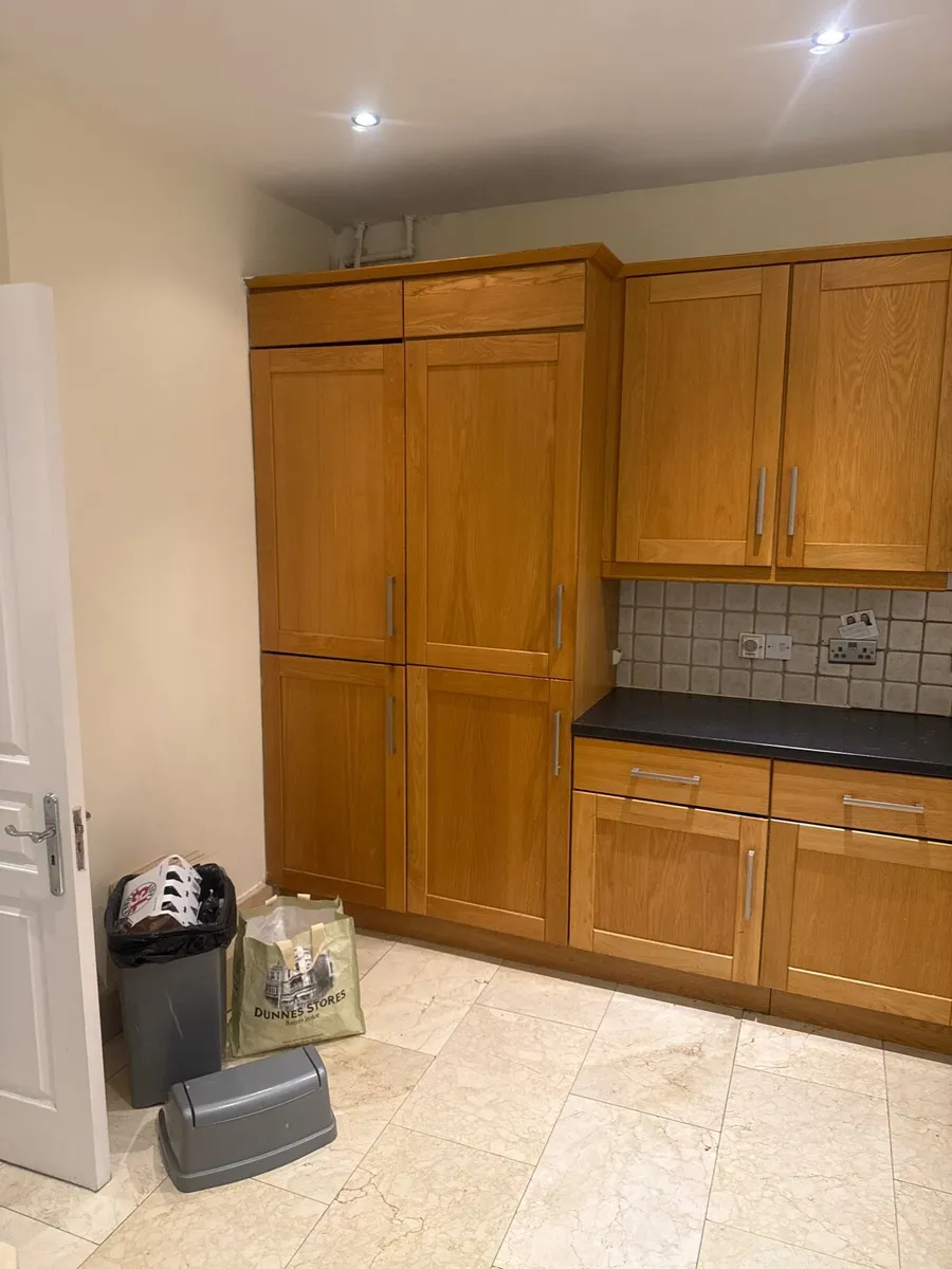 Kitchen door - Image 1