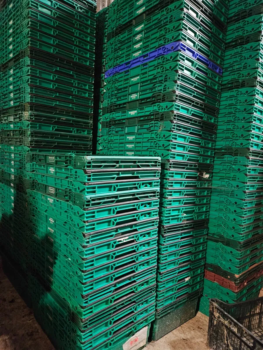 Plastic Crates - Image 1
