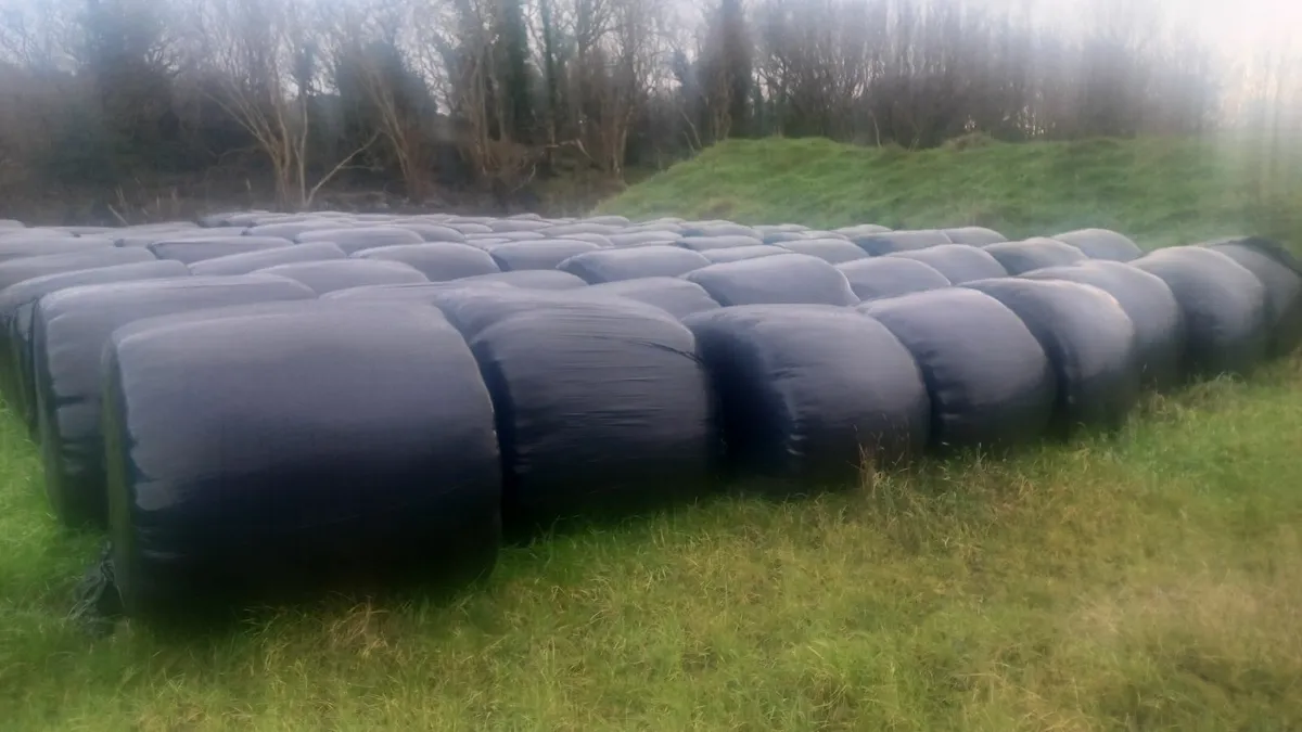 Silage Bales