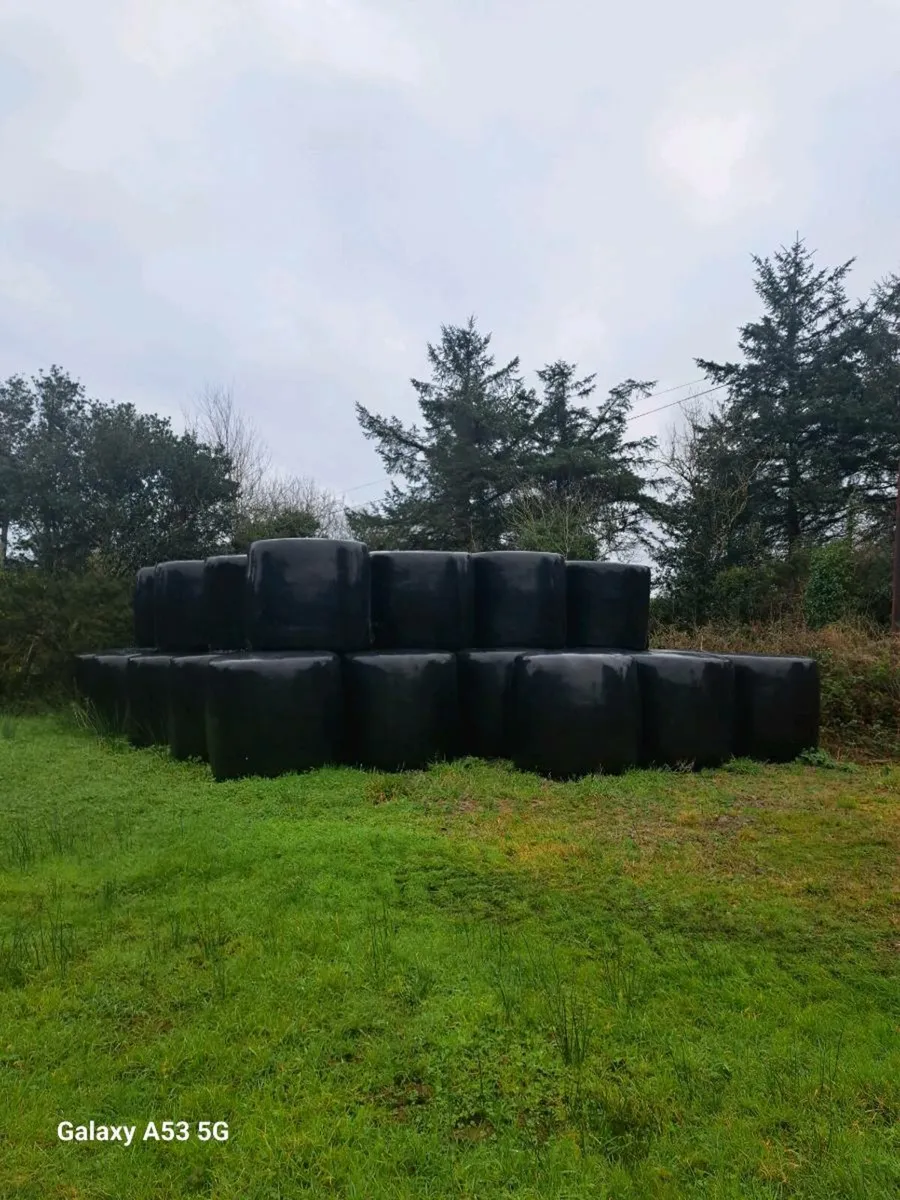 Bales for sale - Image 1