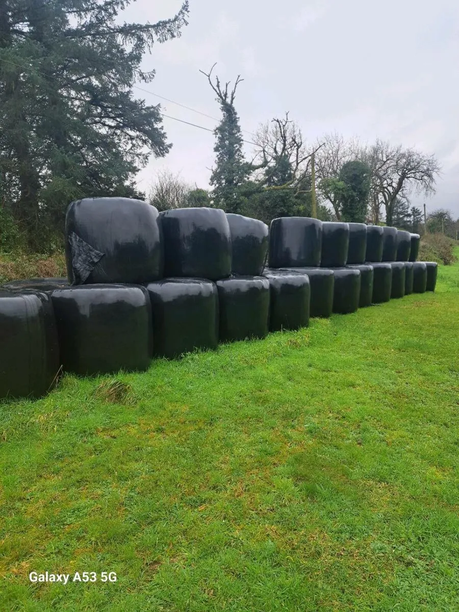Bales for sale - Image 2