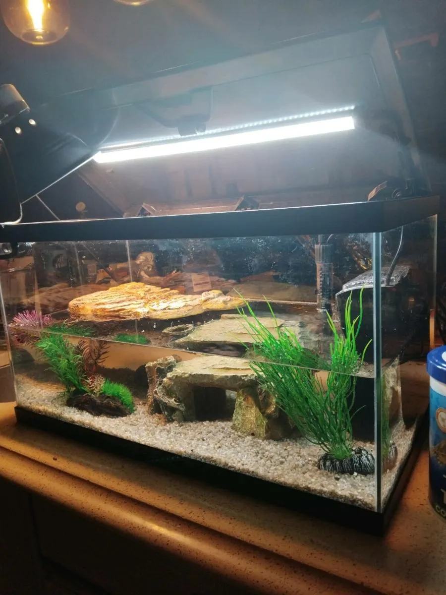 No longer availiable. - Image 1