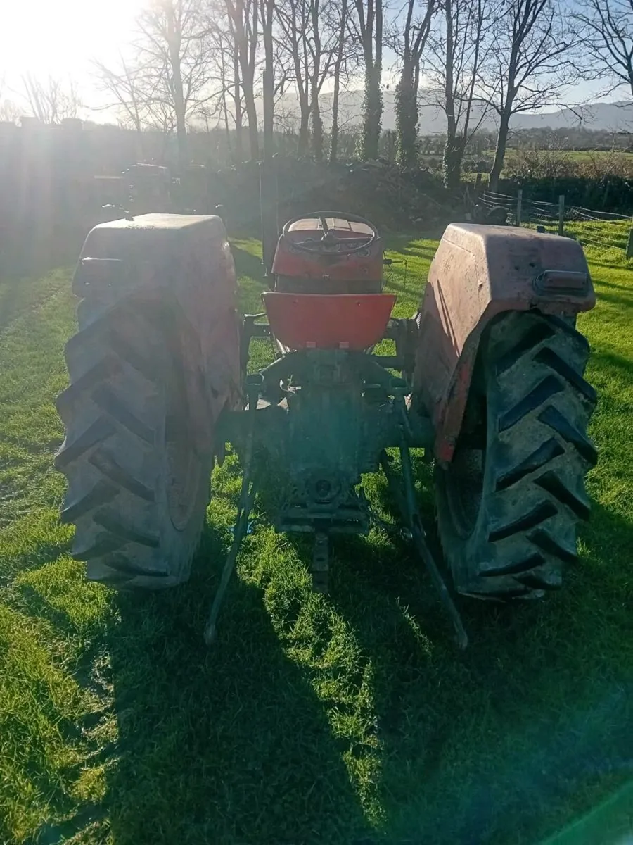 Massey 135 - Image 3