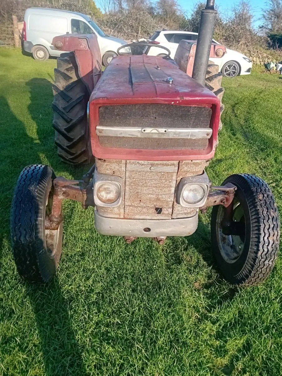 Massey 135 - Image 4