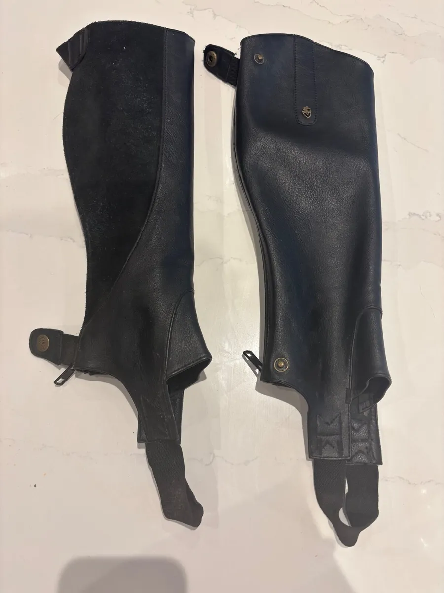 Equestrian chaps - Image 1