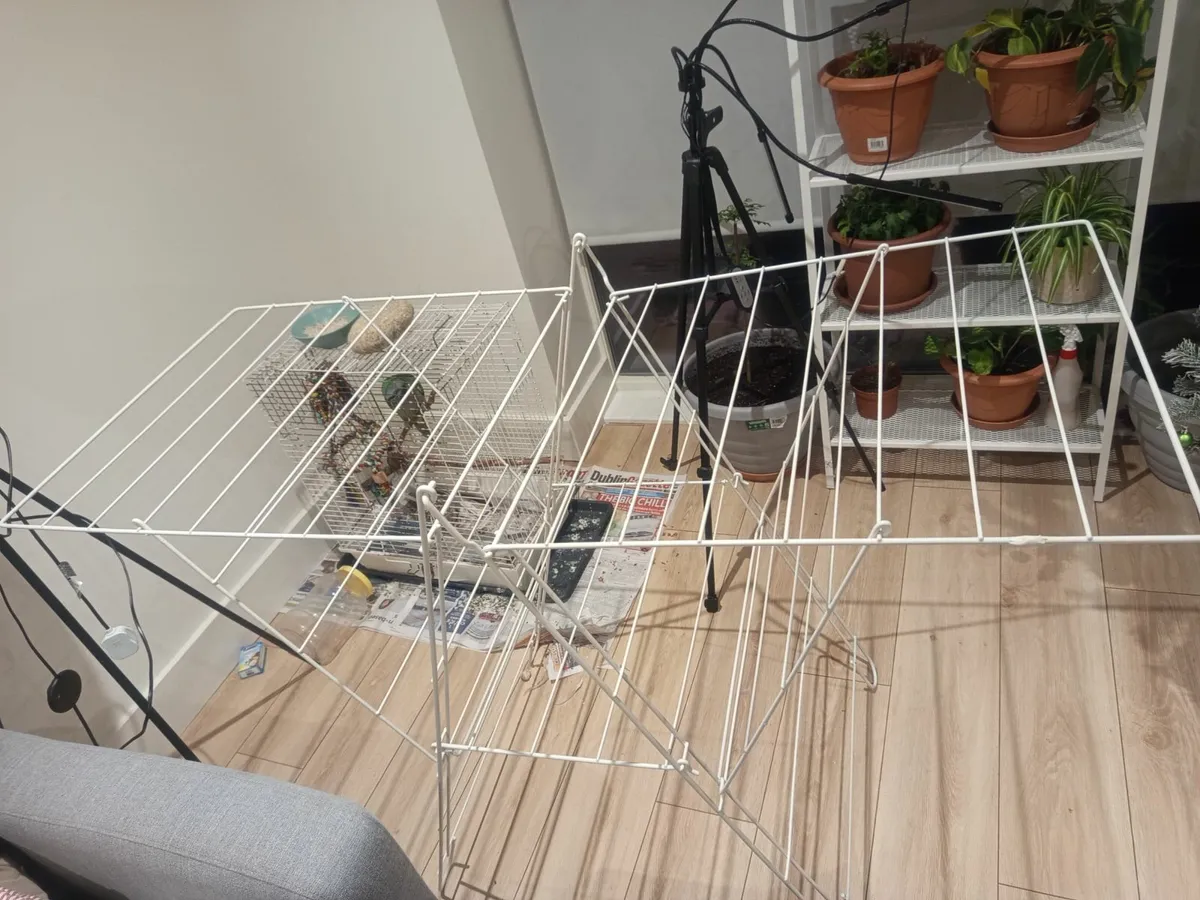 Clothes Dry Stand (price negotiable) - Image 2