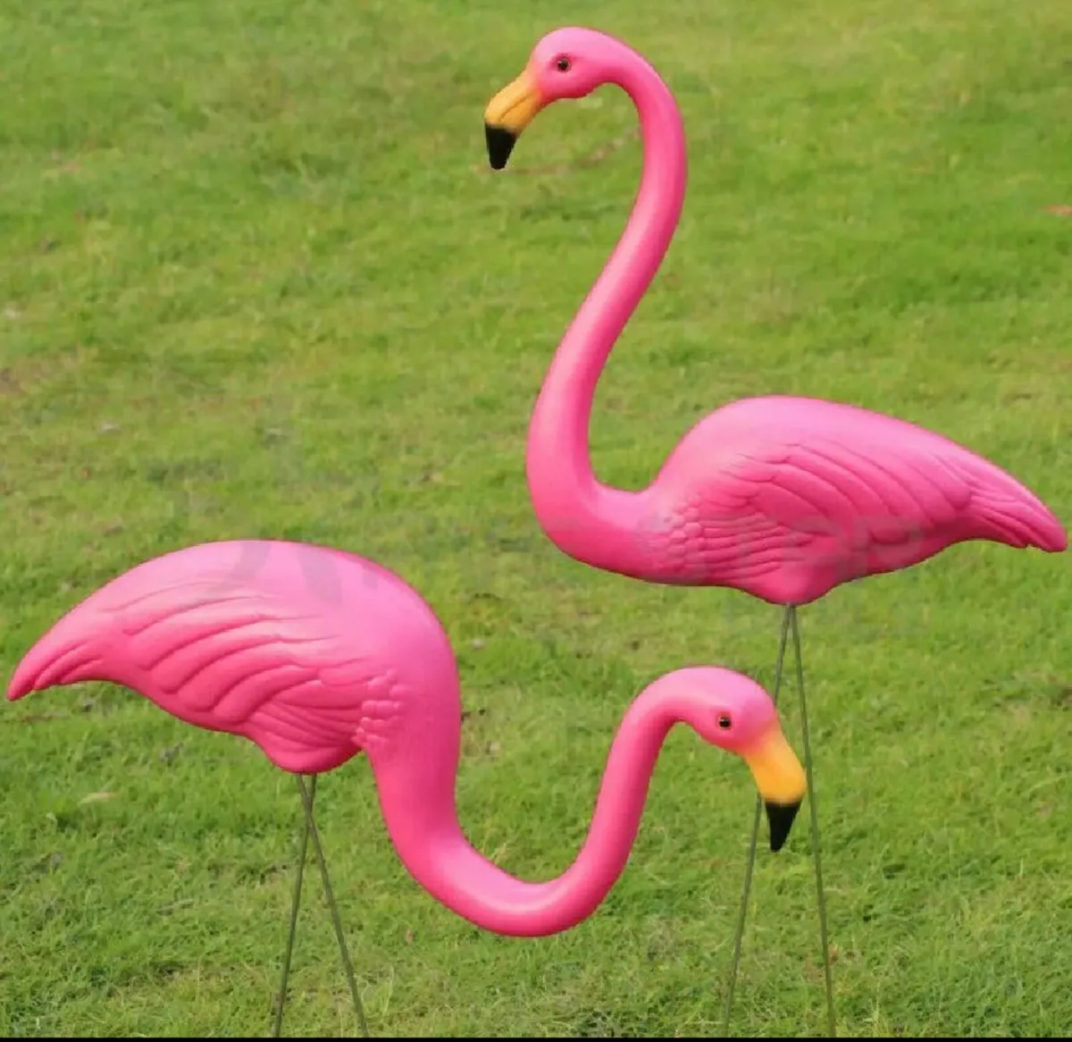 Set of 2 or 4 Lawn Flamingos Garden Ornaments - Image 1