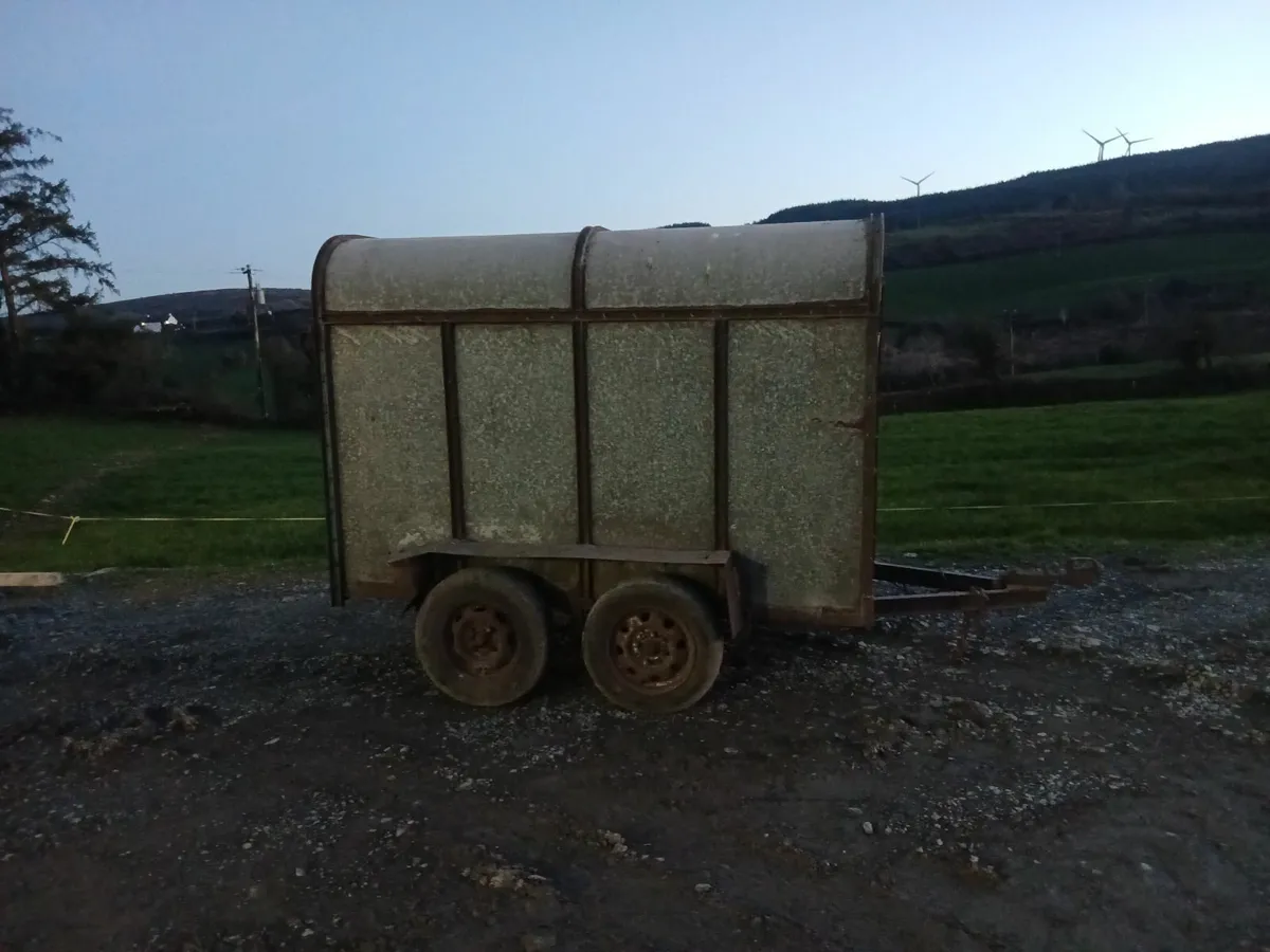 Cow box - Image 1