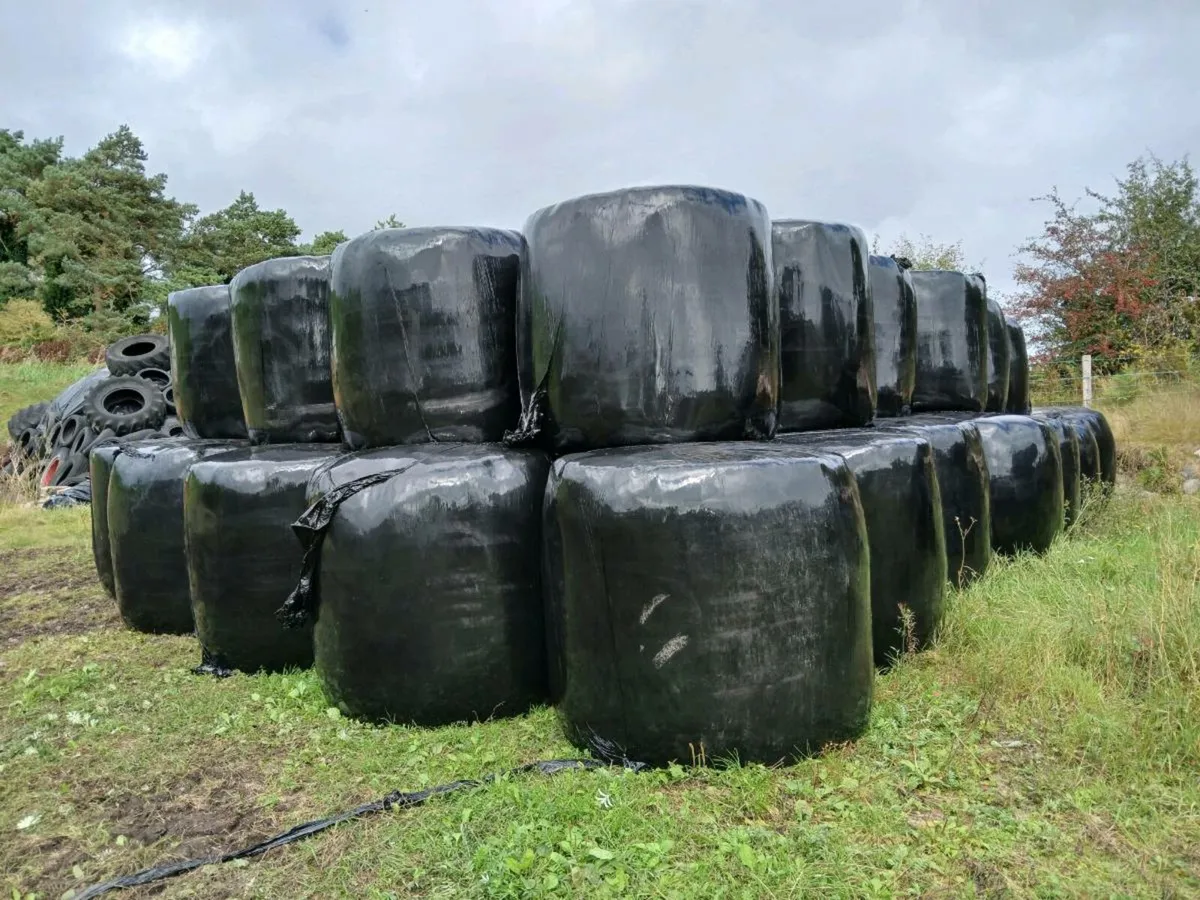 Hay Bales and Silage Bales - Image 3