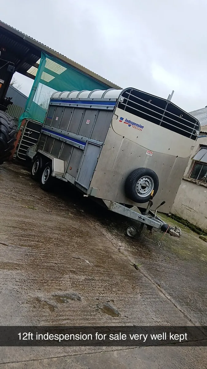 Cattle trailer - Image 2
