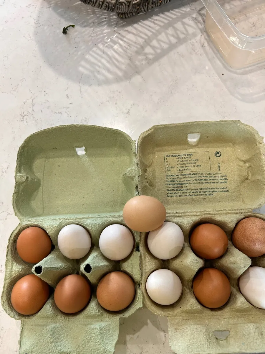 Eggs - Image 3