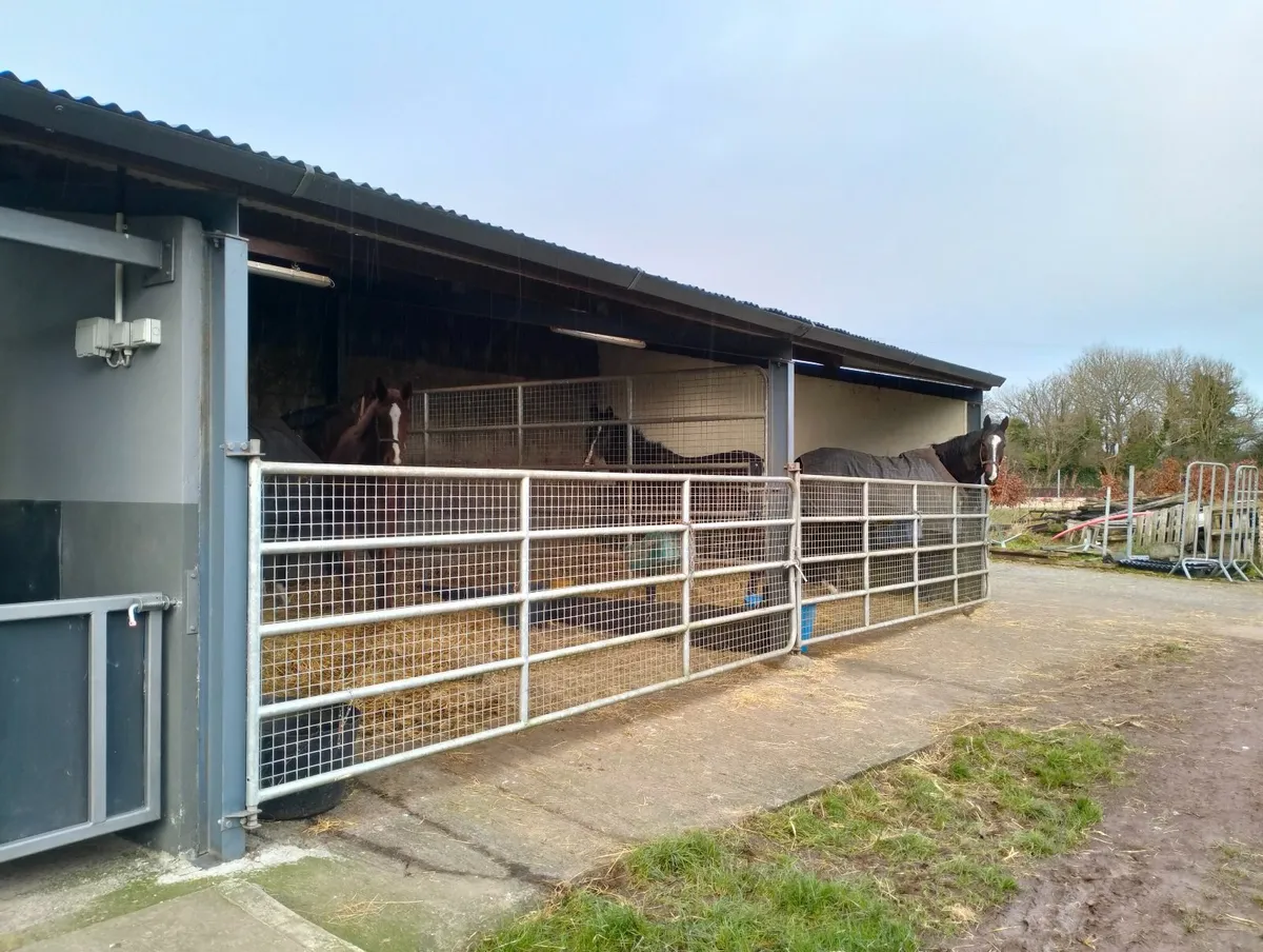 4 livery space available in Ballyhale, Co.Kilkenny - Image 2