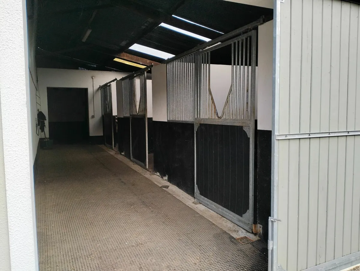 4 livery space available in Ballyhale, Co.Kilkenny - Image 3
