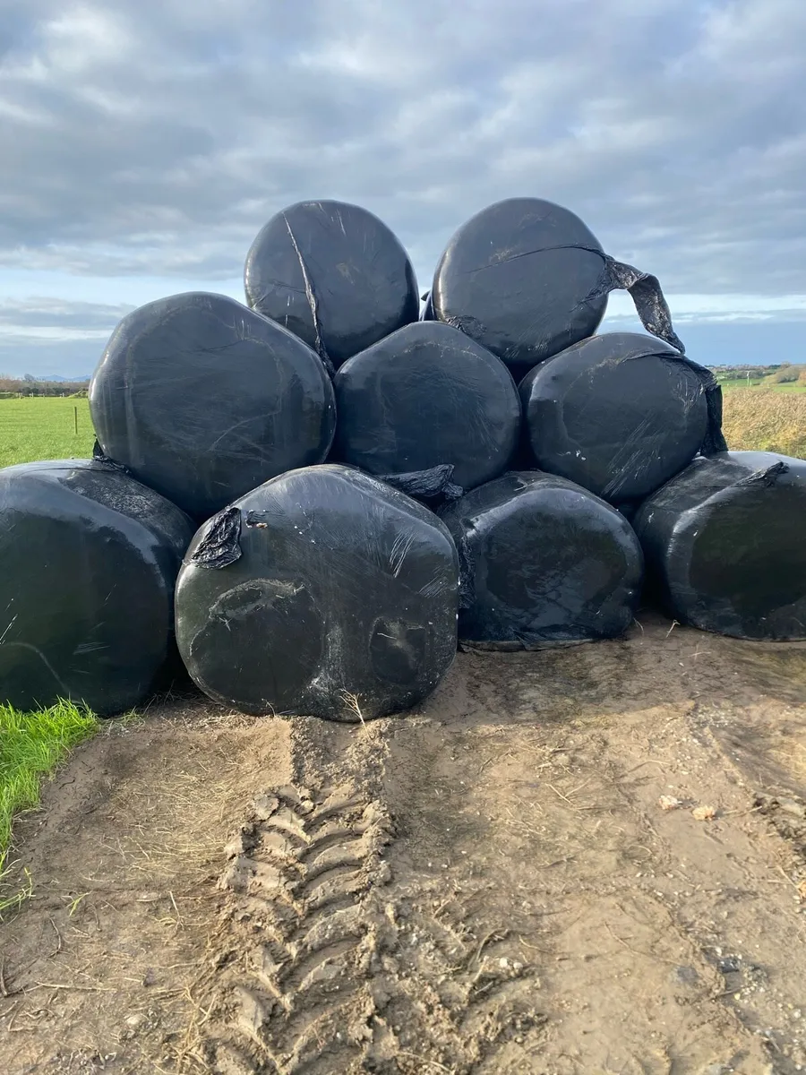 Bale silage