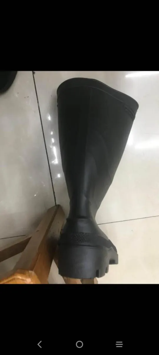 Wellington - Image 2