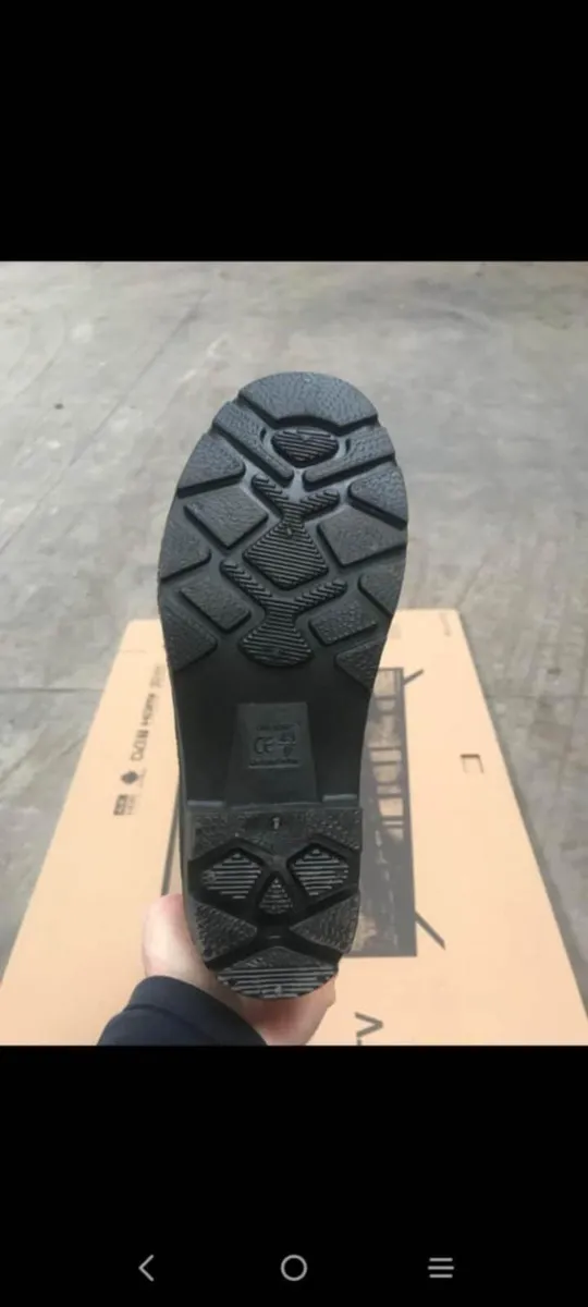 Wellington - Image 3