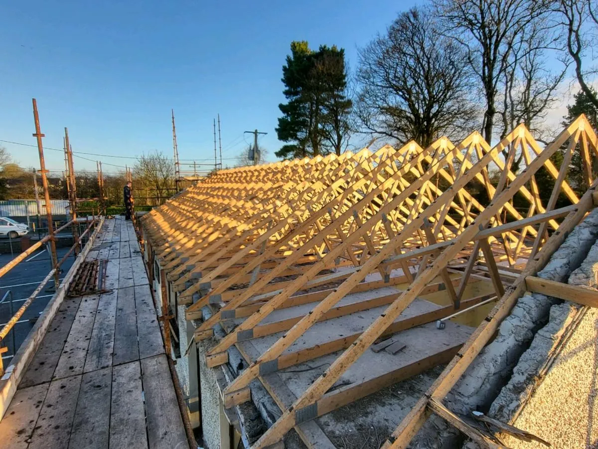 Roof Trusses - Image 2