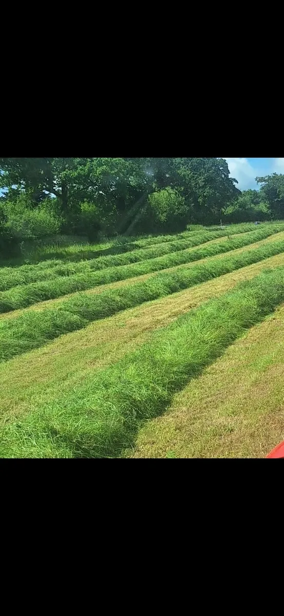 Silage bales - Image 2