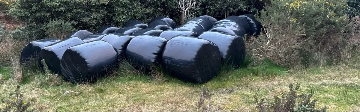 Silage bales - Image 2