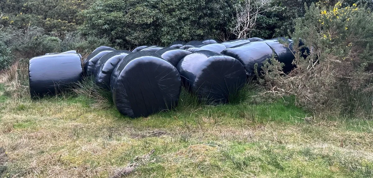 Silage bales - Image 3