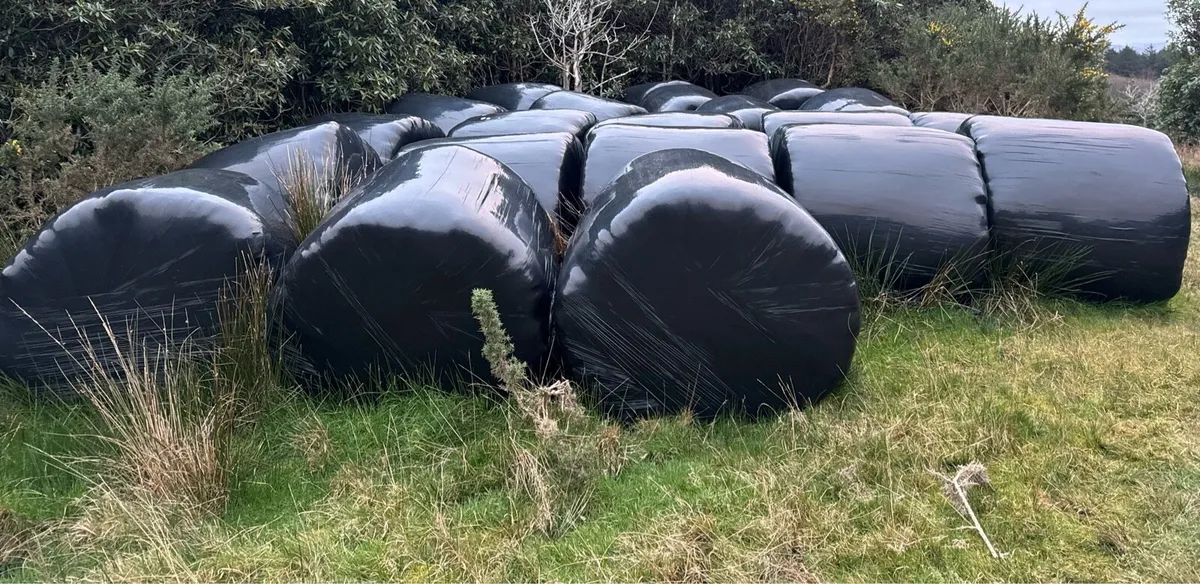 Silage bales - Image 4